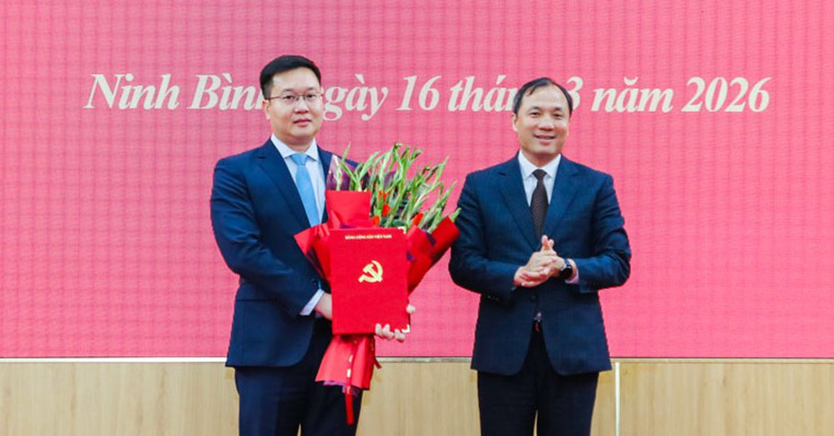 1773711568 3pS4g0uA tran dang quynh 17736635858671356631559 142 132 541 895 crop